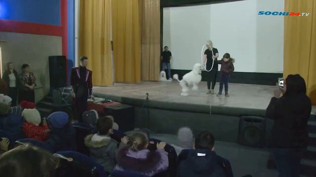 Акция «Социальный Сочи» смотреть онлайн