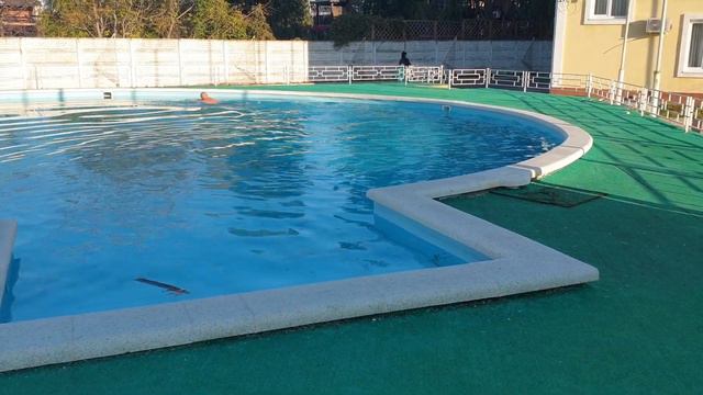 30 ноября 2018 г. смотреть онлайн