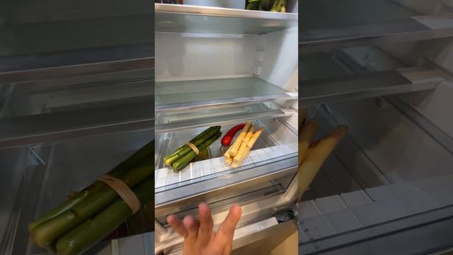 Встраиваемый комбинированный холодильник Asko RFN31831i. Подробный видеообзор "без воды" смотреть онлайн