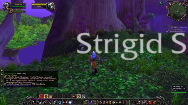 WOW Classic - Gargantuan Tumor Quest смотреть онлайн