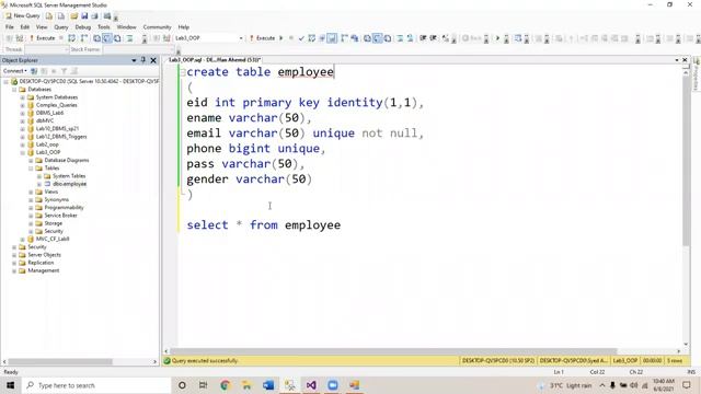 OOP Lab 3 : Connection of SQL Server to WinForms Part 3 смотреть онлайн