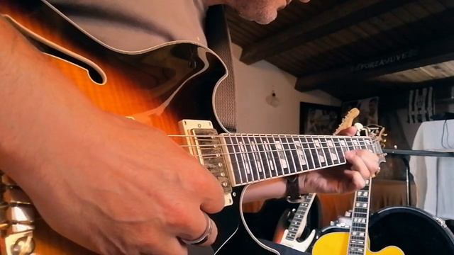 Room 335 (Larry Carlton) - Player : Raffaele Zangari - Guitar Ibanez JSM 10 смотреть онлайн