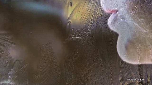 СПЛИН - СРЕДИ ЗИМЫ [HD] 2014 смотреть онлайн