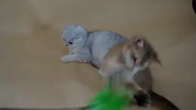 MOV04793 смотреть онлайн