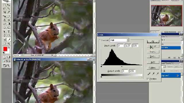 Видеоуроки по фотошопу. 56. Применение большой глубины цвета смотреть онлайн