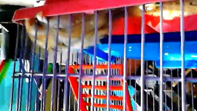 Хомяк-клеткоед смотреть онлайн