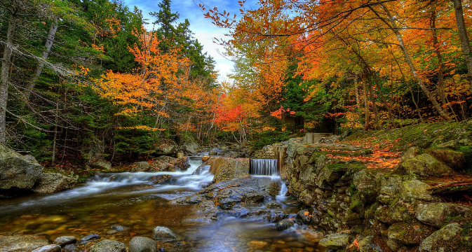 Звуки осенней реки - Расслабляющее видео природы ✦ Релакс ✦ Релаксация смотреть онлайн