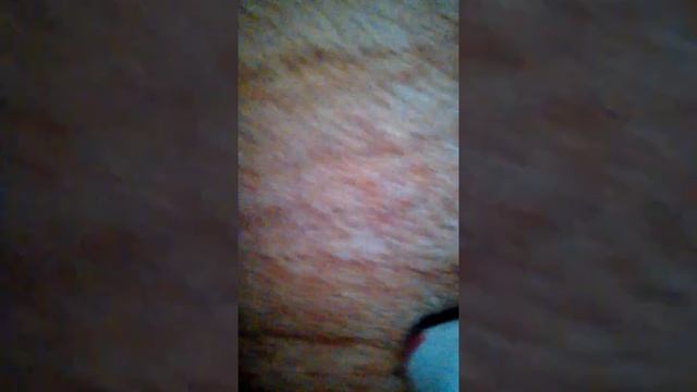 Первое включение колонки!!! смотреть онлайн