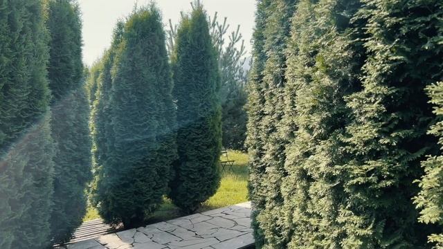 Северная Осетия смотреть онлайн