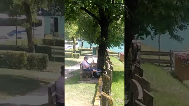 Panoramica Video Lago di Molveno Dolomiti di Brenta Italia ?? смотреть онлайн