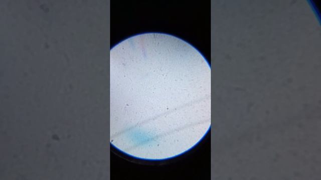 обзор на микроскоп attivio смотреть онлайн