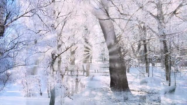 Шафоростов Сергей - Снежинки смотреть онлайн
