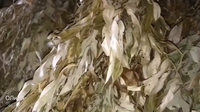 Что я делаю в деревне смотреть онлайн