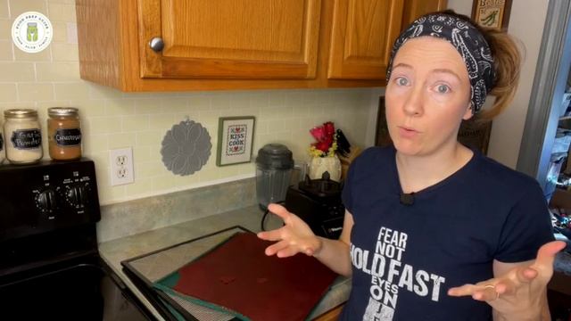How to Make Tomato Powder at Home the EASY Way ? смотреть онлайн