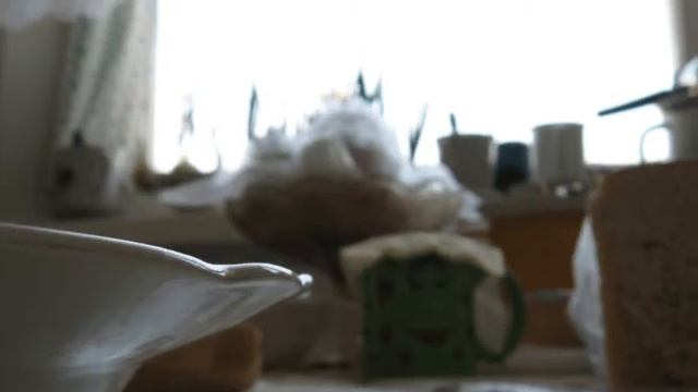 ЧТО ВИДИТ МУХА НА ЗАВТРАК