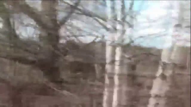 Ностальгическая элегия - стихи М.Палта муз. и исполн. А.Галаганова смотреть онлайн