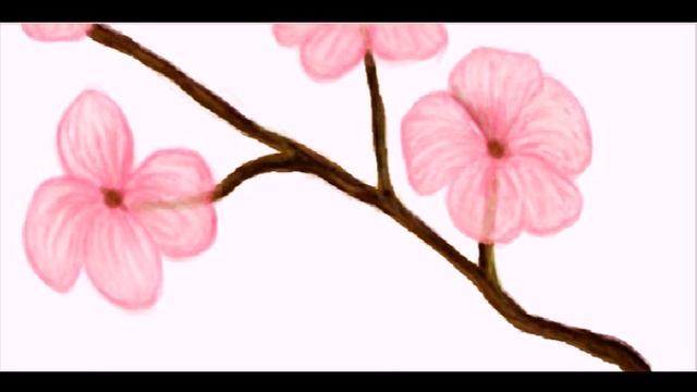 Сакура граффити в контакте смотреть онлайн