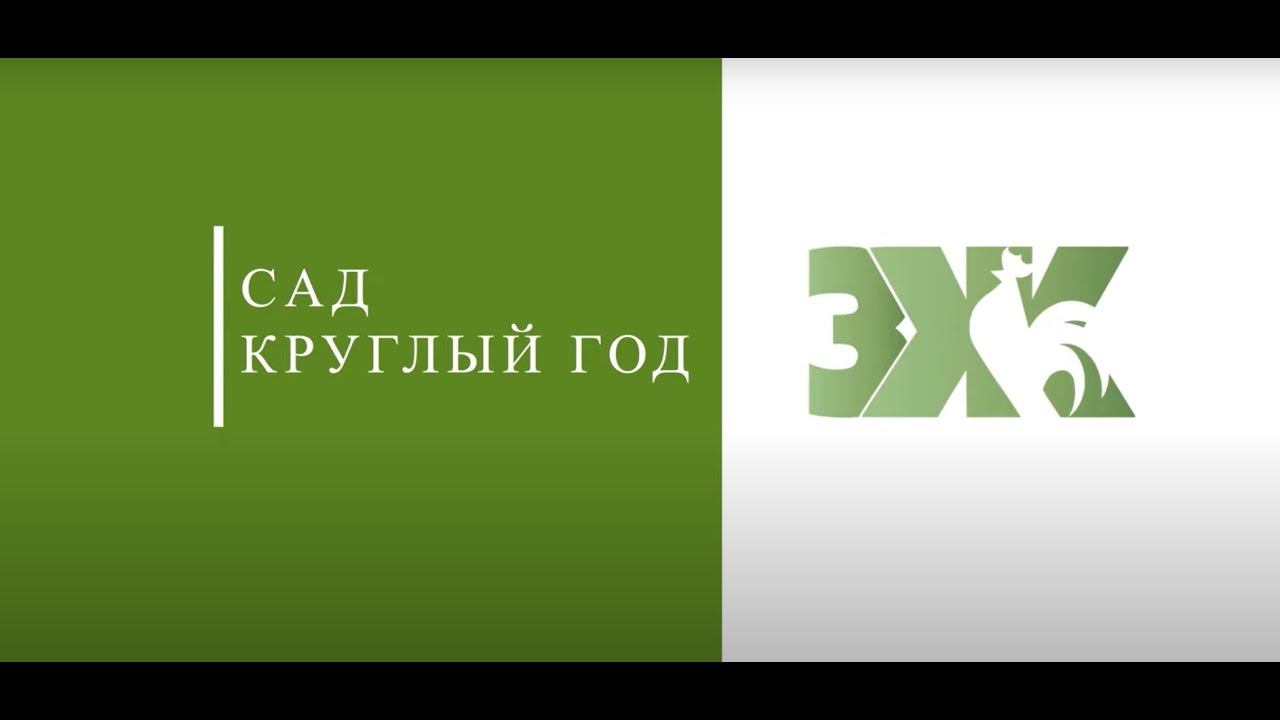 Сад круглый год | Выпуск 8 смотреть онлайн