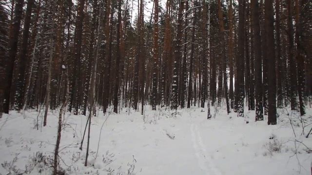 Ориентирование на местности зимой. В тайге. Часть 1 смотреть онлайн