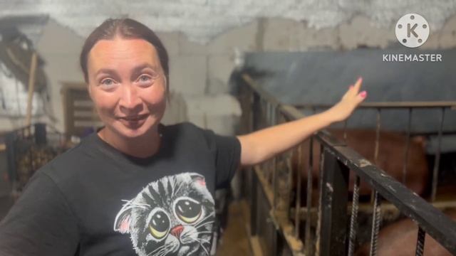 Определение веса свиней. Замеры для определения веса. смотреть онлайн