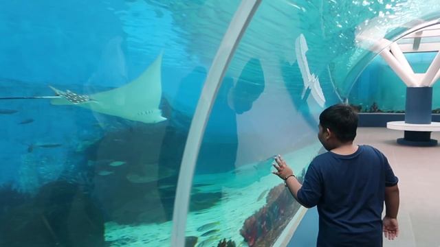 CEBU OCEAN PARK the Biggest Oceanarium in the Philippines | Ledz Pulvera смотреть онлайн