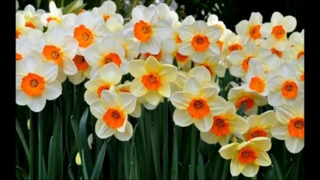 Бабушка увидела как незнакомец уводит мальчика с детской площадки... смотреть онлайн