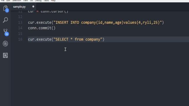 Python PostgreSQL Database Insert Query смотреть онлайн