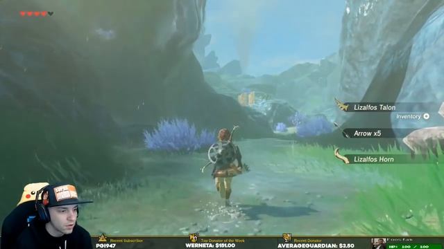 PSA To The Zora... LET IT GO! Part 11 Breath of the Wild смотреть онлайн