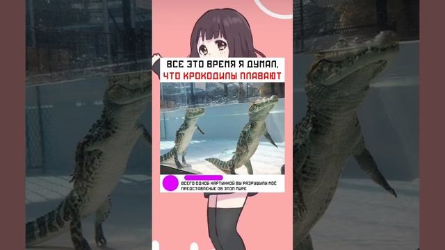 #short #shorts #мем #мемы #прикол #юмор #funny (37) смотреть онлайн