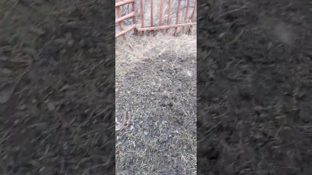 🏡 Купили дачу. Первая поездка в 2020 г, 23 февраля смотреть онлайн