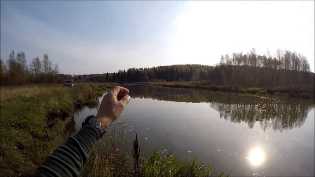 Поплавок. Уклейка. Золотая осень. 1 часть. смотреть онлайн