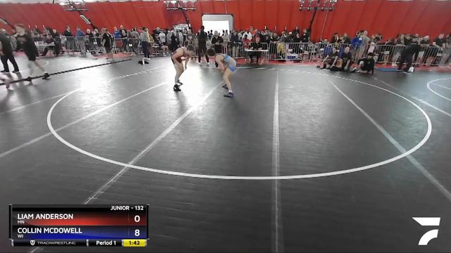 132 Lbs Quarterfinal - Liam Anderson, MN Vs Collin McDowell, WI 909b смотреть онлайн