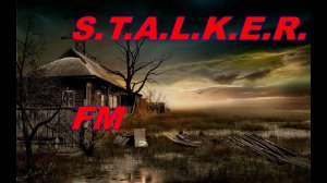 S.T.A.L.K.E.R.  F.M # 5. Поле дураков в Баре.