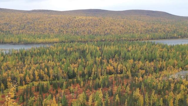 Истоки реки Войкар. Вид с хр. Малый Урал. смотреть онлайн