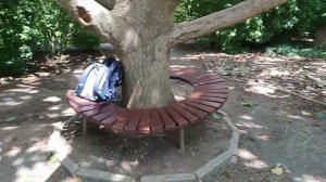 Чудо-павловния в Крыму!