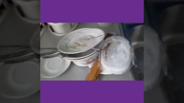 Как сварить яйца без воды ? смотреть онлайн