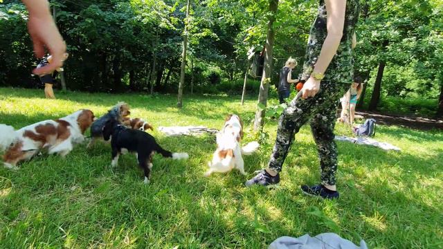 Микки разошёлся смотреть онлайн