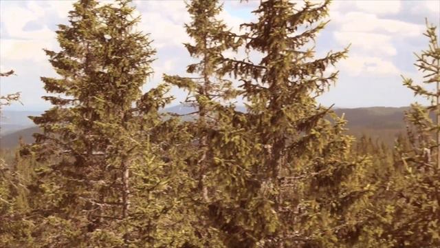 Ønsker sommer`n Velkommen смотреть онлайн