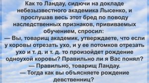 Анекдоты потоком! Свежак приколов! Анекдоты от «А» до «Я»!