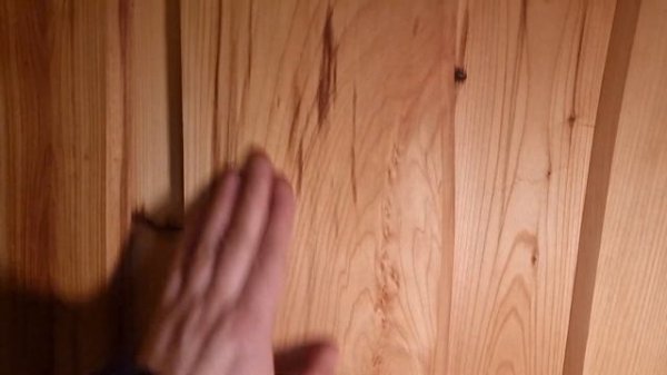 Woodson сделал шедевральный каркасник, а Сталь-Мастер сделает из него баню-лабораторию!