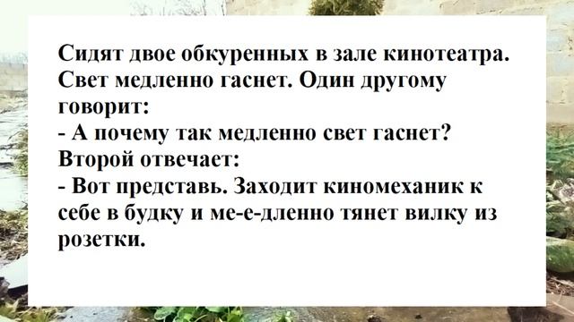 №21 ... у моего мужа 38...Смешные анекдоты. Отборные анекдоты. Веселые анекдоты. Смех. Ржака. смотреть онлайн