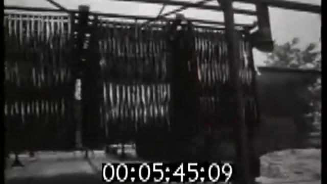 1982. Рыболовецкий колхоз Узвара смотреть онлайн