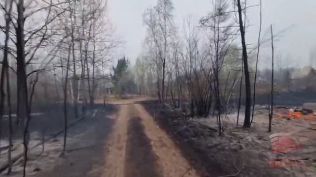 30 дач и 60 заброшенных участков пострадали от пожара в Братском районе смотреть онлайн