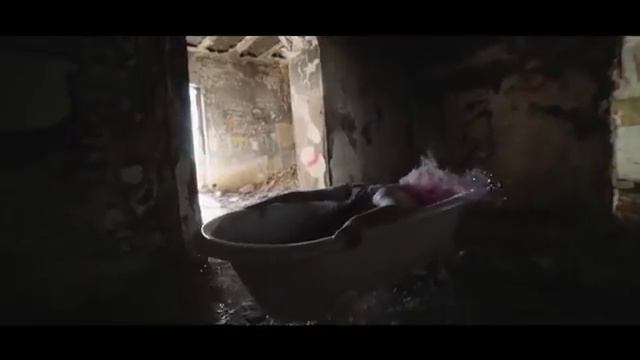Тверк , смотреть всем) смотреть онлайн