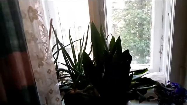 Аренда комнаты Серпуховская ул. 89046092429 смотреть онлайн
