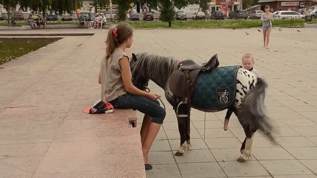 Пони - фотограф Челябинск тел. +79227502999 смотреть онлайн