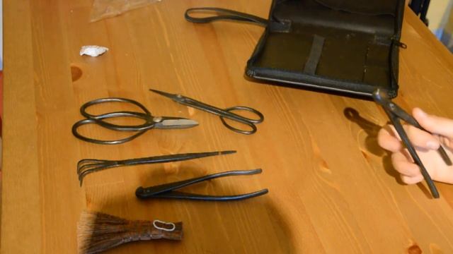 ОЧЕНЬ ПОВЕЗЛО! Оригинальные японские инструменты для бонсай смотреть онлайн