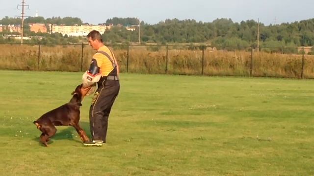 Дафна кусается. смотреть онлайн