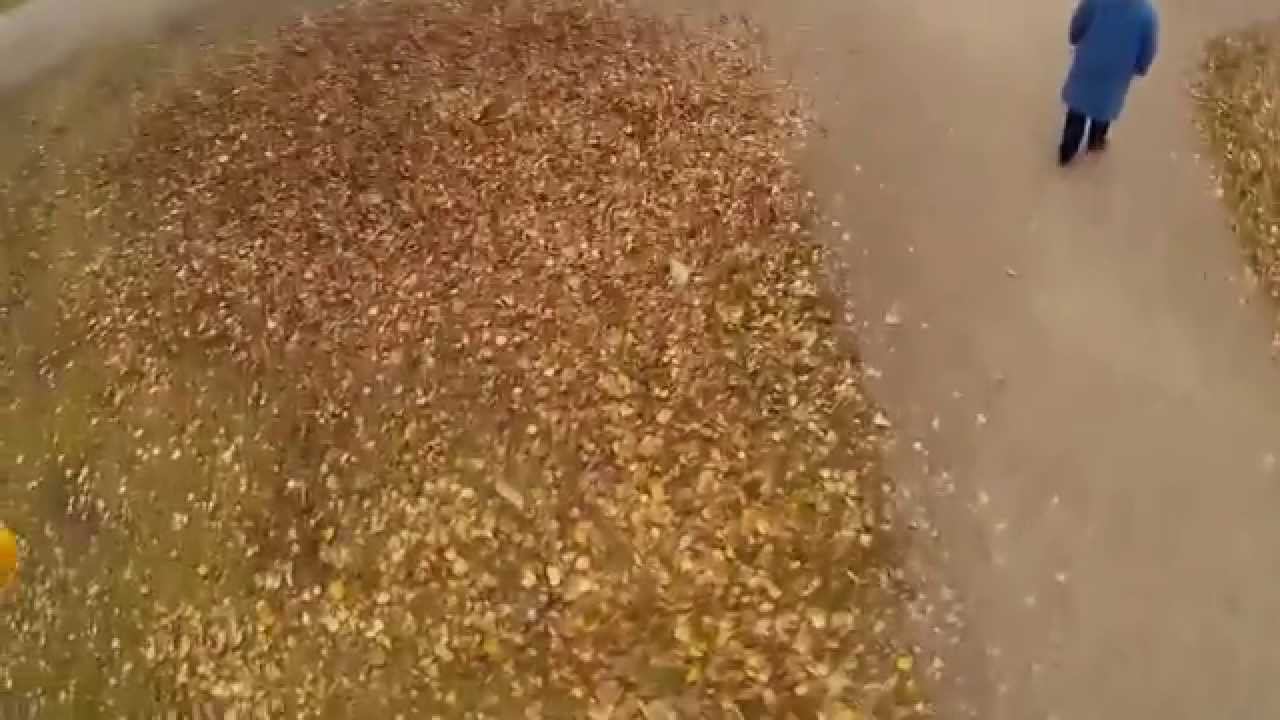аллея смотреть онлайн
