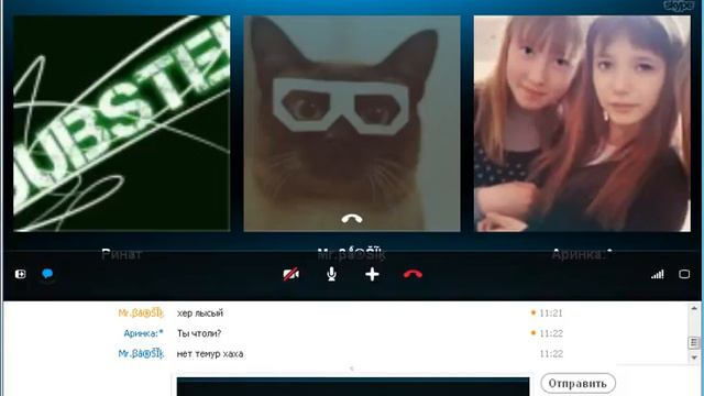 TROLLING Тёлки в Skype #1 смотреть онлайн